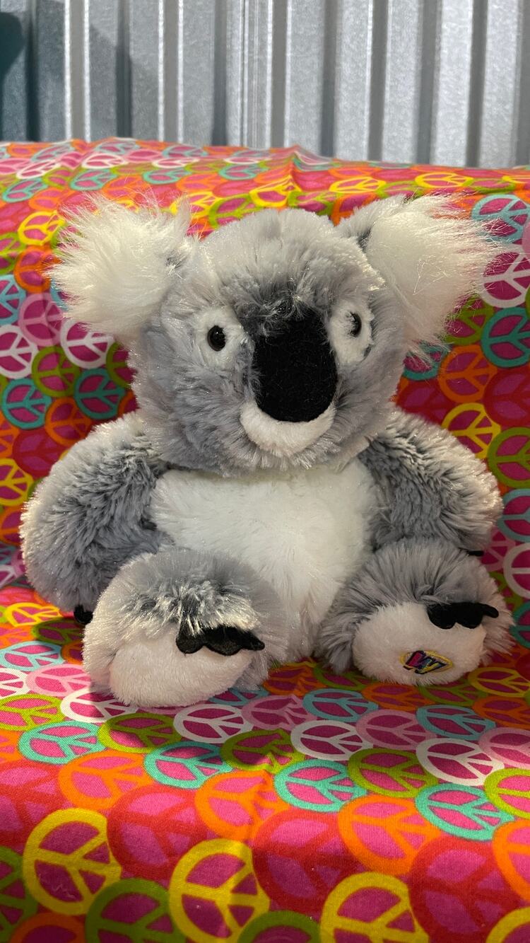 Koala Bear HM113 No Code Webkinz Plush #1 by Ganz